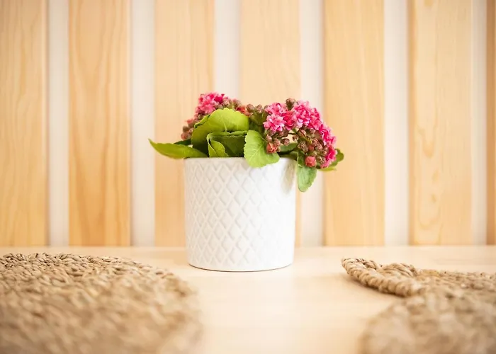 Сasa de vacaciones Iris - Dream *