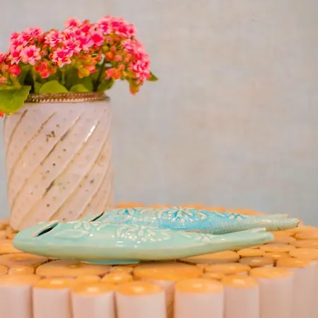 Iris - Dream Nazaré